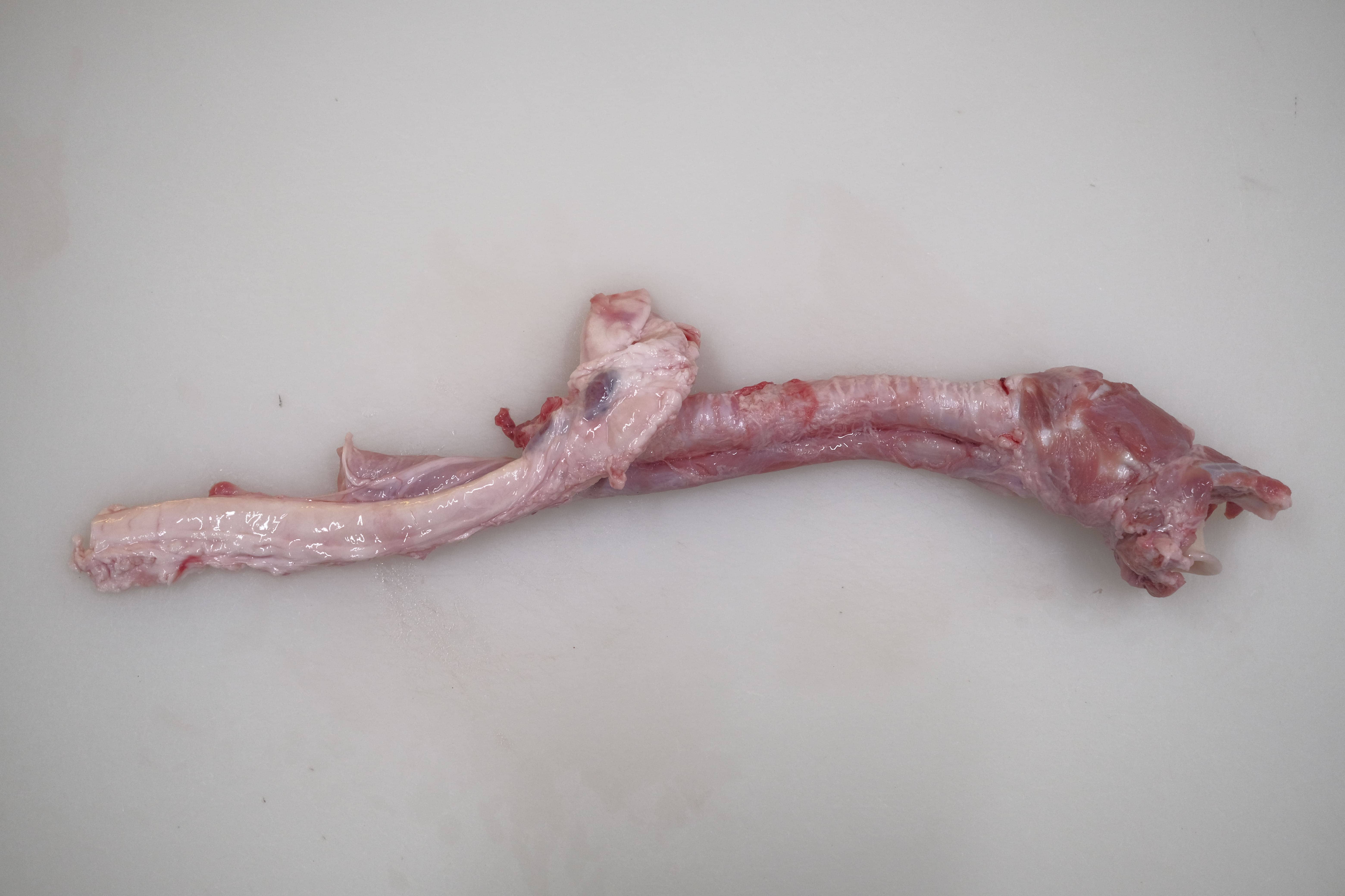 豚ノドブエ（喉軟骨）